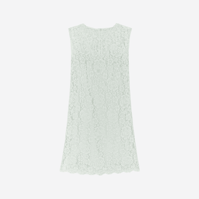 Dolce & Gabbana blue lace midi dress